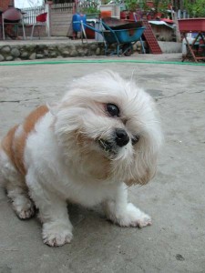 1380945736-4049742099