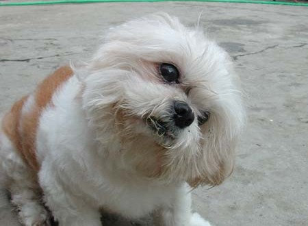 1380945736-4049742099