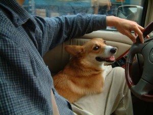 1380945737-1124085072