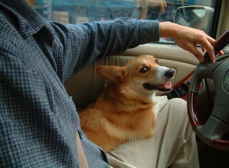 1380945737-1124085072