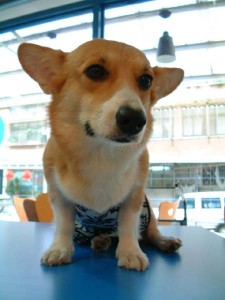 1380945738-2959185017