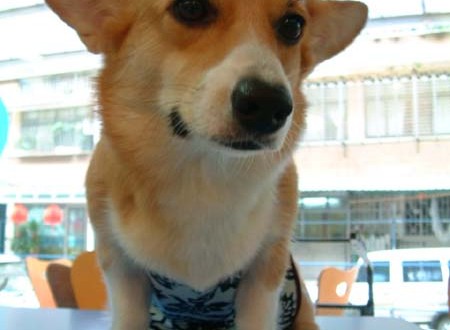 1380945738-2959185017