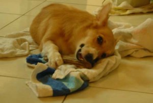 1380945738-3705629682