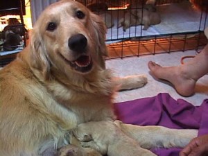 1380945739-3446379389