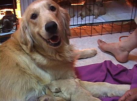 1380945739-3446379389