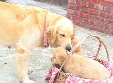 1380945740-2497910806