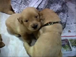 1380945740-2890425172