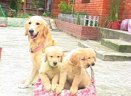 1380945741-1459045495