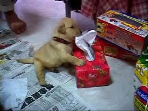 1380945741-1768809323