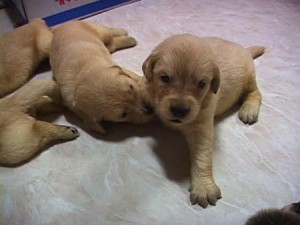 1380945741-921934014