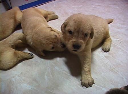 1380945741-921934014