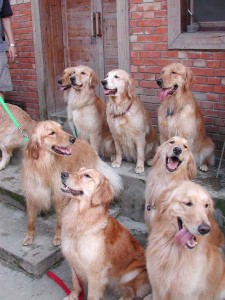 1380945742-945502437