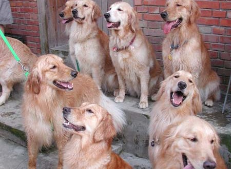 1380945742-945502437