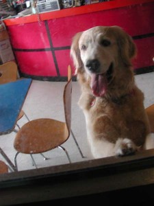 1380945745-3576412197