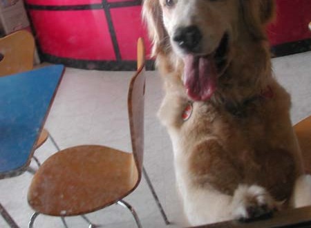 1380945745-3576412197