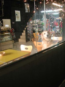 1380945746-2153453299