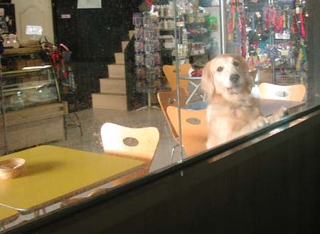 1380945746-2153453299