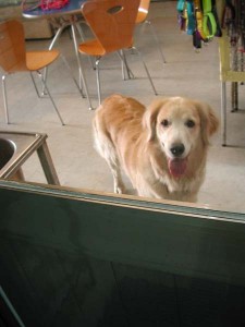 1380945746-400569645