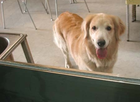 1380945746-400569645