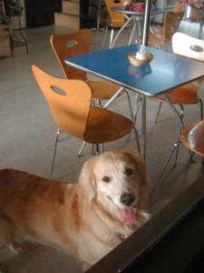 1380945747-3153965884