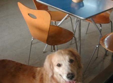 1380945747-3153965884