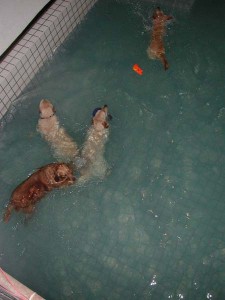 1380945748-3135642581