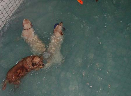 1380945748-3135642581