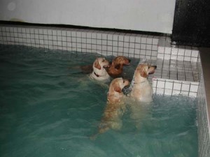 1380945748-3753985992