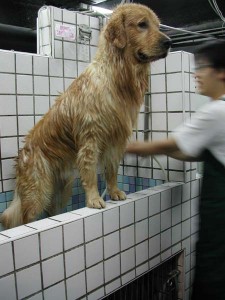 1380945749-4142818844