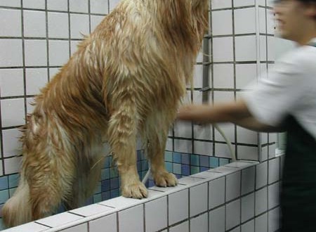 1380945749-4142818844