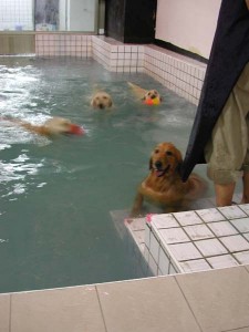 1380945749-821804044