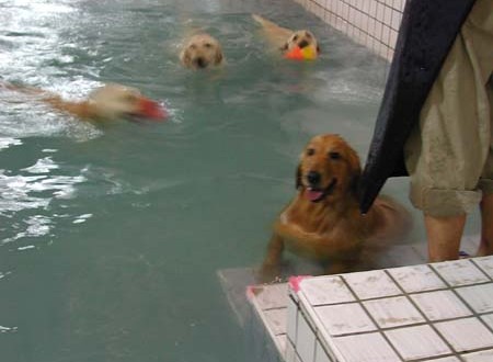 1380945749-821804044