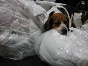 1380945752-2024284775