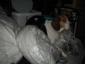 1380945753-3638199702