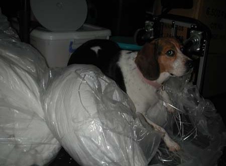 1380945753-3638199702