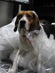 1380945754-1557451530