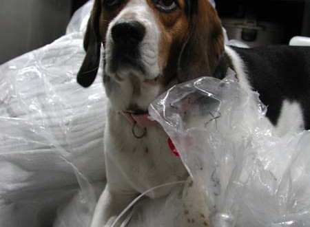 1380945754-1557451530