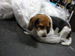 1380945755-349913109