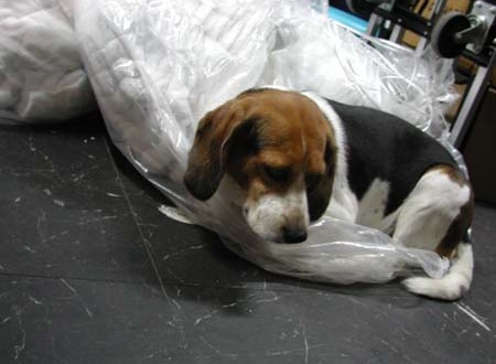 1380945755-349913109