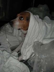 1380945756-2022650473