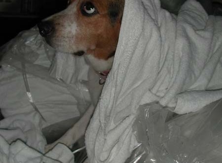 1380945756-2022650473