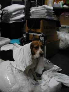 1380945756-2247837470