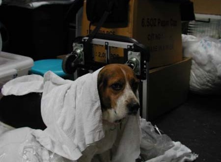 1380945756-2247837470