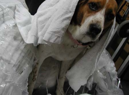 1380945756-4195939033