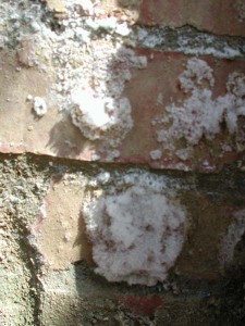 1380945758-544905787