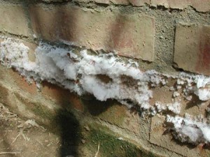 1380945758-983476543