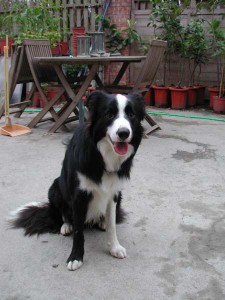 1380945759-3061813500