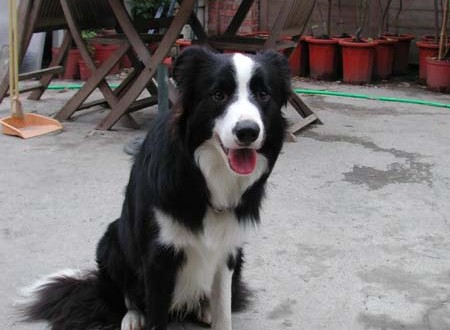 1380945759-3061813500