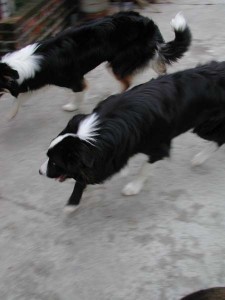 1380945760-2123368552