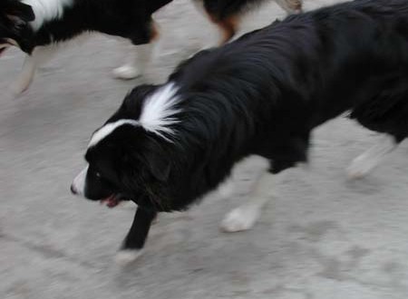 1380945760-2123368552